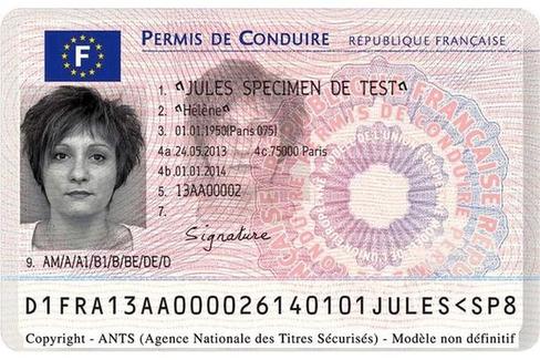 Ants Refaire Son Permis De Conduire