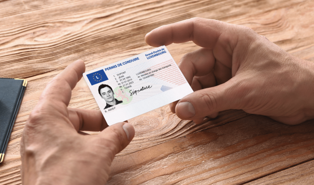 Permis De Conduire A