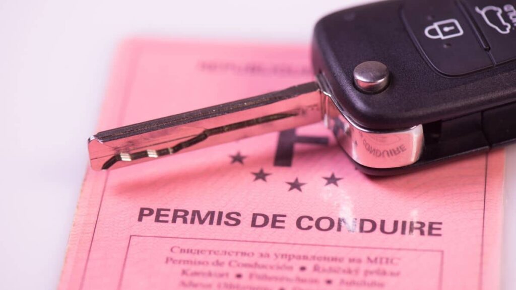 Permis De Conduire Aide Caf