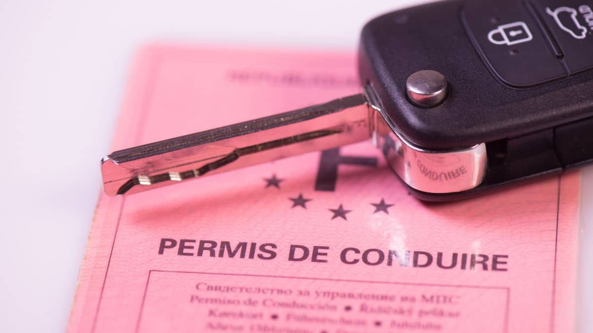Permis De Conduire Aide Caf